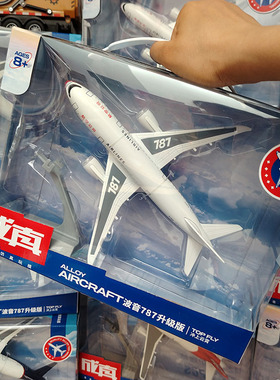 成真彩珀合金飞机模型波音777大型运输机合金飞机320客机320摆件