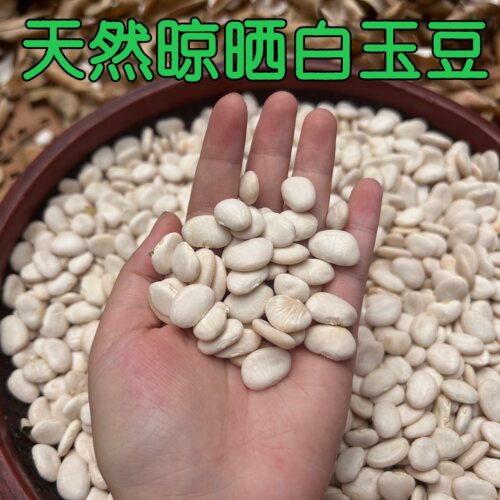 福建高山天然晾晒干白玉豆