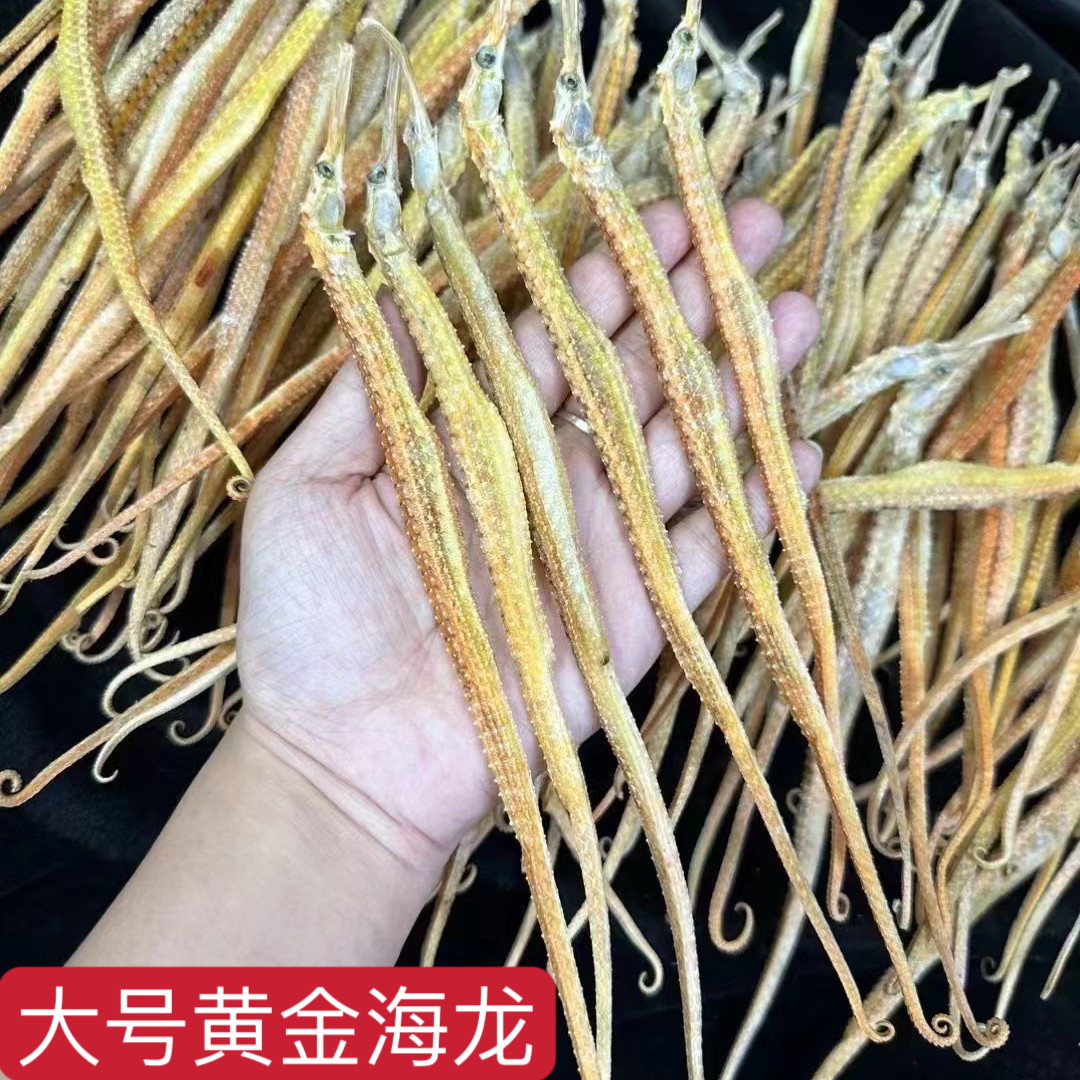 中药材煲汤泡酒海产品干货船晒黄金海龙特大规格中药材10条起售