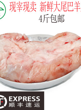 清真新鲜尾巴羊尾油羊肉火锅