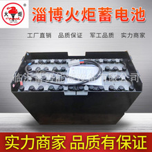 火炬天能萨牌电动叉车搬运车T20蓄电池组2PZS230铅酸电瓶24V230Ah