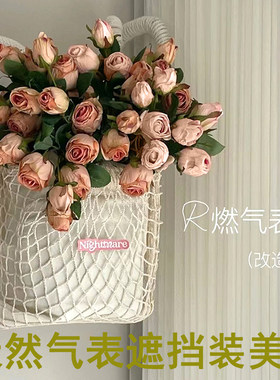 遮丑天然气表遮挡表箱