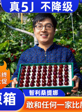 5j智利车厘子新鲜水果包邮当季整箱5斤装礼盒3j进口大樱桃4j孕妇