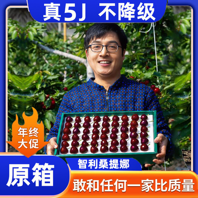 【5J特大】智利车厘子桑提娜5斤