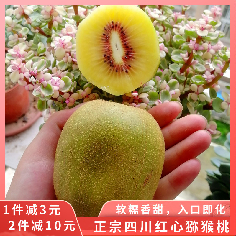 正宗四川红阳红心猕猴桃彩箱装蒲江奇异果黄肉泥猴桃大果新鲜水果