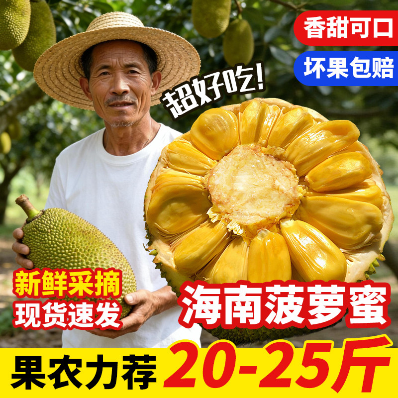 海南菠萝蜜一整个干苞大果新鲜现摘三亚保亭特产榴莲蜜老树菠萝蜜