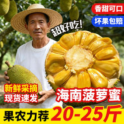 海南菠萝蜜一整个干苞大果新鲜现摘三亚保亭特产榴莲蜜老树菠萝蜜