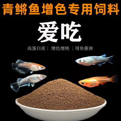 青鳉鱼饲料观背开口鱼粮小型鱼高蛋白小颗粒不浑水上浮增色鱼苗鱼