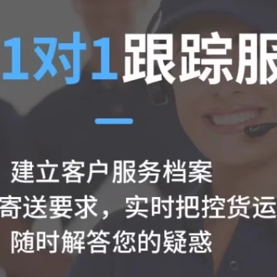 国际快递食品化工品发至毛里求斯马尔代夫