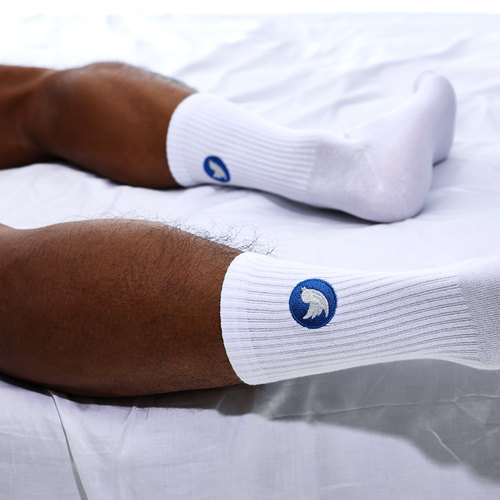 男高筒棉袜子刺绣蓝色小鸟