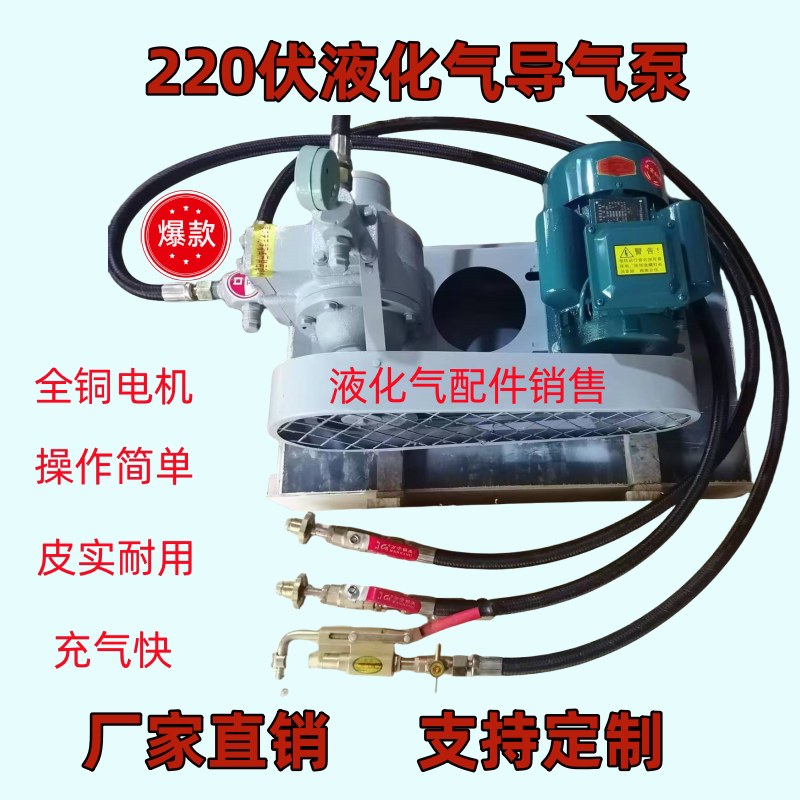 液化气泵导气泵220伏充气泵220伏伏铜电机过气泵煤气高压丙烷泵