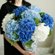 仿真花高级感逼真绣球花仿真花假花蓝色绣球仿真花束装 饰花艺摆件