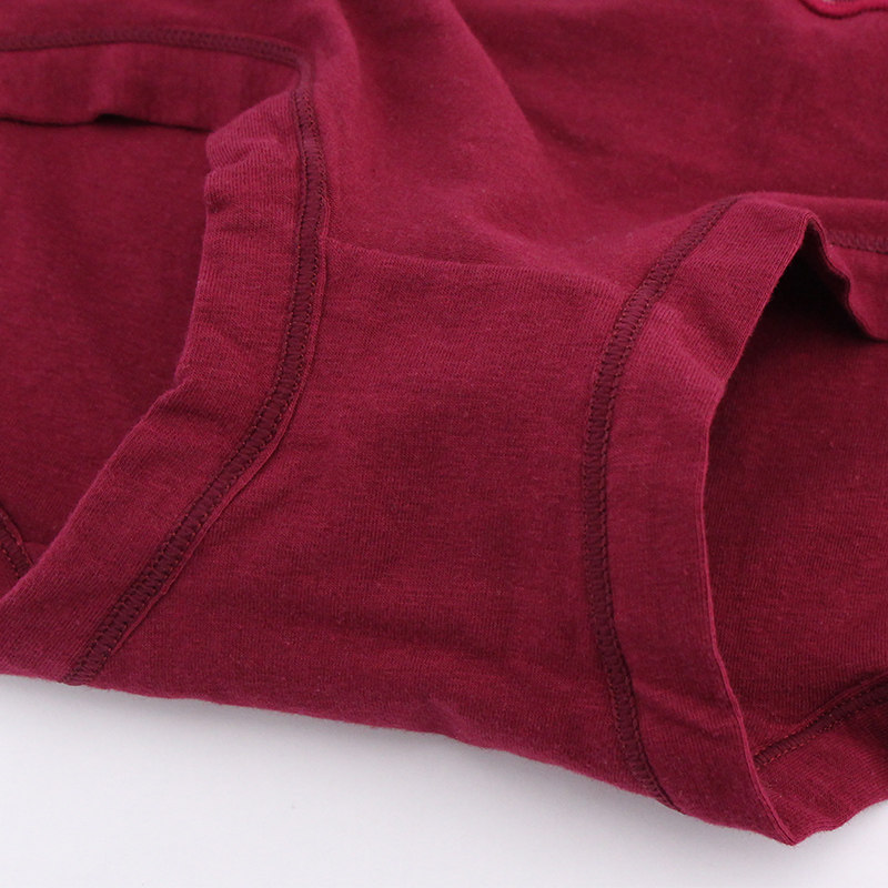 Slip jeunesse xh1524 en coton - Ref 669309 Image 4