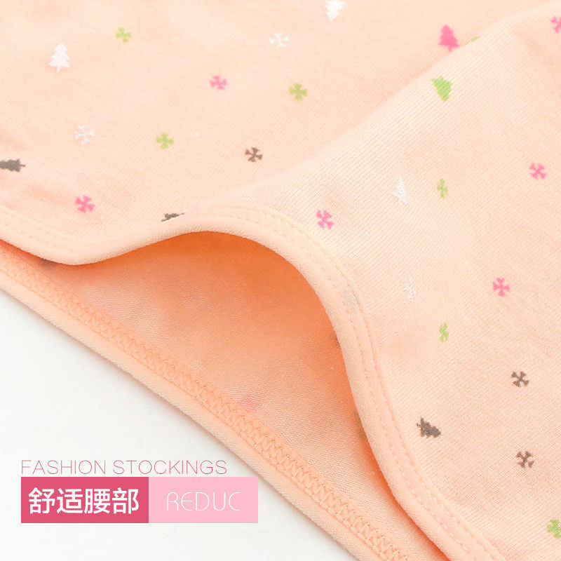 Slip jeunesse LS038 en coton - Ref 669269 Image 3