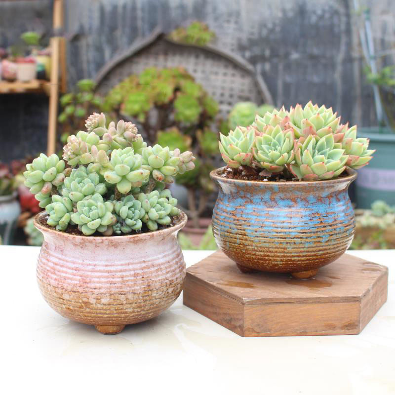 窑变群生多肉花盆家用阳台红陶大口径陶盆陶土创意粗陶大小陶瓷盆