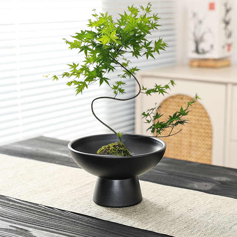 禅意流泉枫蕨类花盆陶瓷大号家用苔藓球佛手柑大口径盆景水培器皿