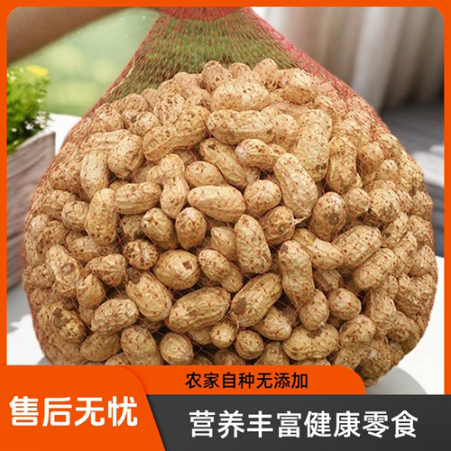 新鲜湿花生带壳泥花生可水煮