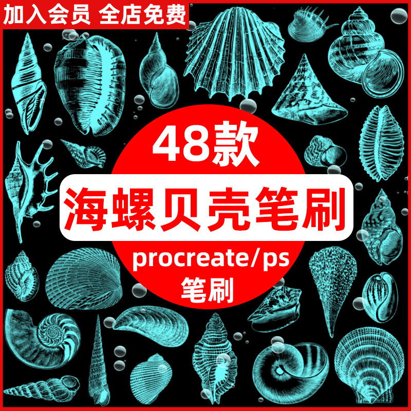 ipad绘画手绘海螺贝壳扇贝海洋元素插画procreate/ps笔刷素材