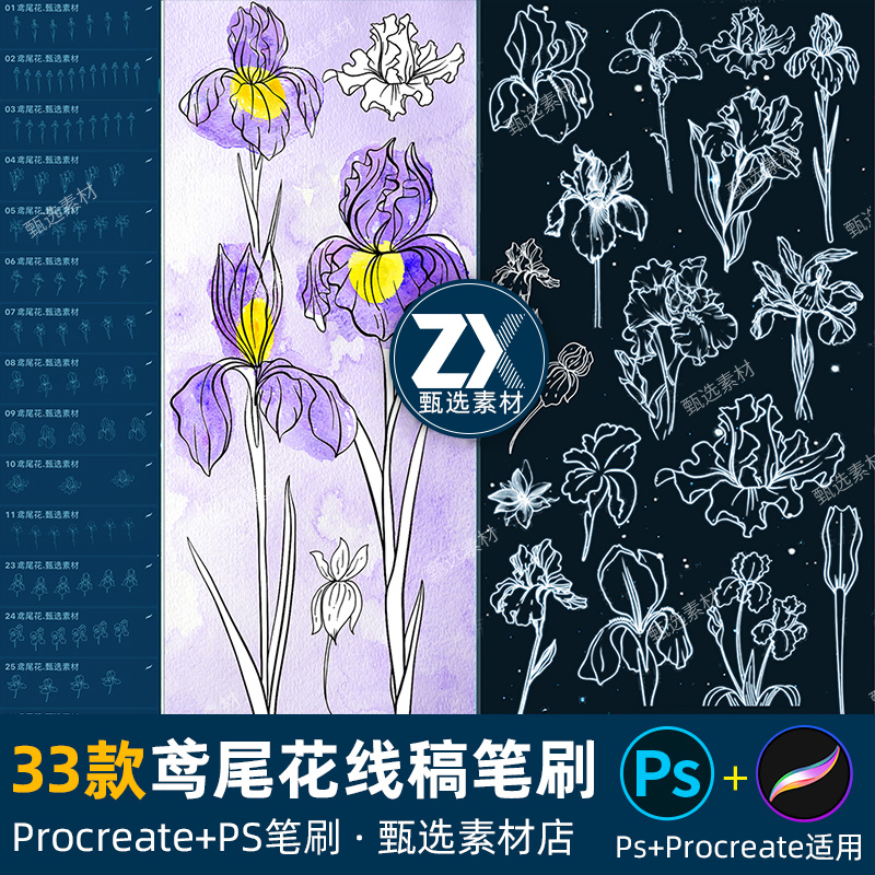 ps笔刷procreate笔刷鸢尾花植物花朵鲜花卉辅助线稿蝴蝶花蕾插画