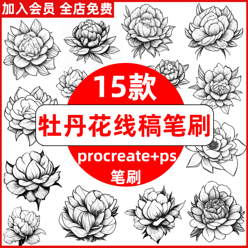 牡丹花线稿procreate笔刷ps笔刷牡丹花朵花卉手绘辅助线稿植物花