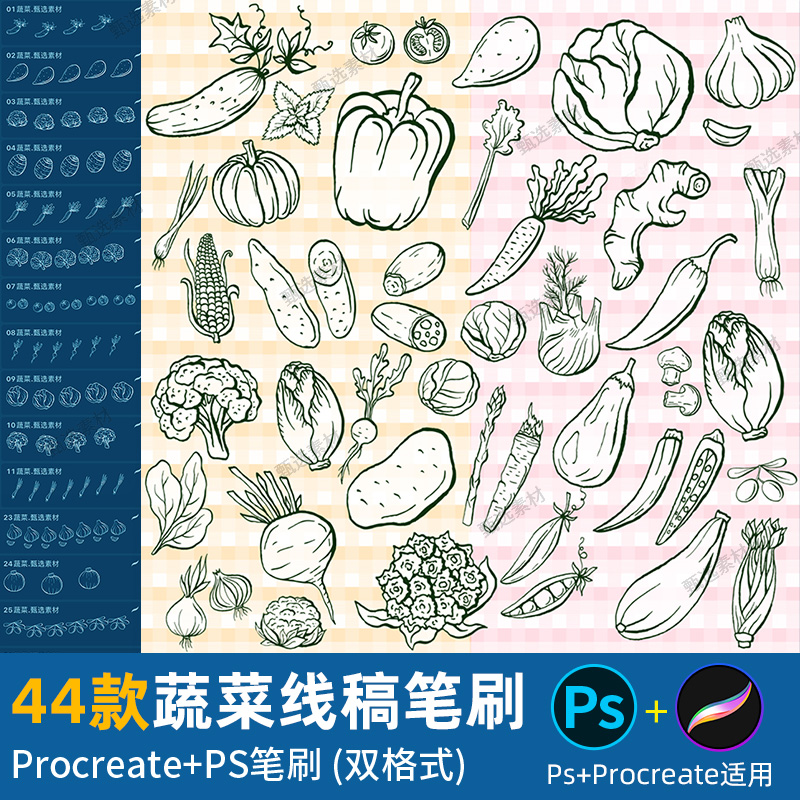 ps笔刷procreate笔刷绿色蔬菜蔬果食物健康食材绘画辅助线稿手绘