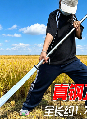 高锰钢刀剑中华传统古风武术练习刀可拆卸加长冷兵器摆件未开刃