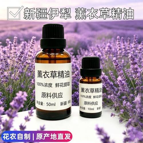 新疆伊犁自产薰衣草精油纯单方真实薰衣草香薰护肤身体植物10ml