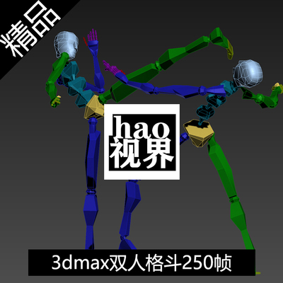 3dmax双人格斗武打动作250帧BIP骨骼动作源文件