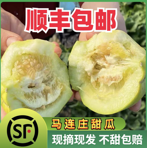 马连庄甜瓜香瓜当季新鲜水果甜宝香瓜甜瓜绿宝非羊角蜜罐甜脆香甜