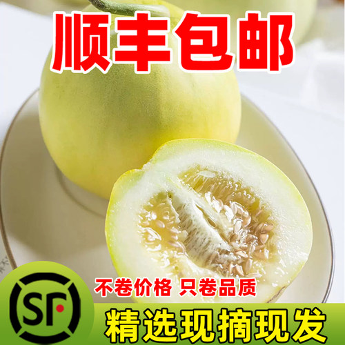【顺丰包邮】正宗马连庄甜瓜莱西甜瓜甜宝甜瓜脆甜孕妇新鲜水果