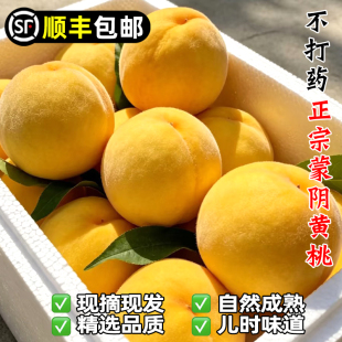 顺丰包邮黄桃新鲜水果山东蒙阴现摘锦绣黄金肉蜜非炎陵应当季毛桃