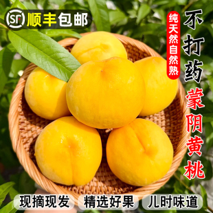 顺丰包邮黄桃新鲜水果山东蒙阴现摘锦绣黄金肉蜜非炎陵应当季毛桃