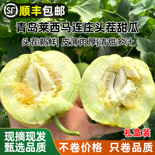 【顺丰】正宗马连庄甜瓜山东莱西甜瓜甜宝甜瓜脆甜孕妇新鲜水果