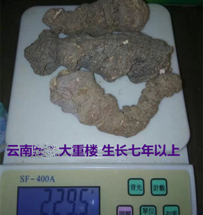 云南七叶重楼草河车滇重楼七叶一枝花独脚莲 50克 非四叶重楼