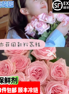 送人花束粉荔枝刘亦菲同款玫瑰