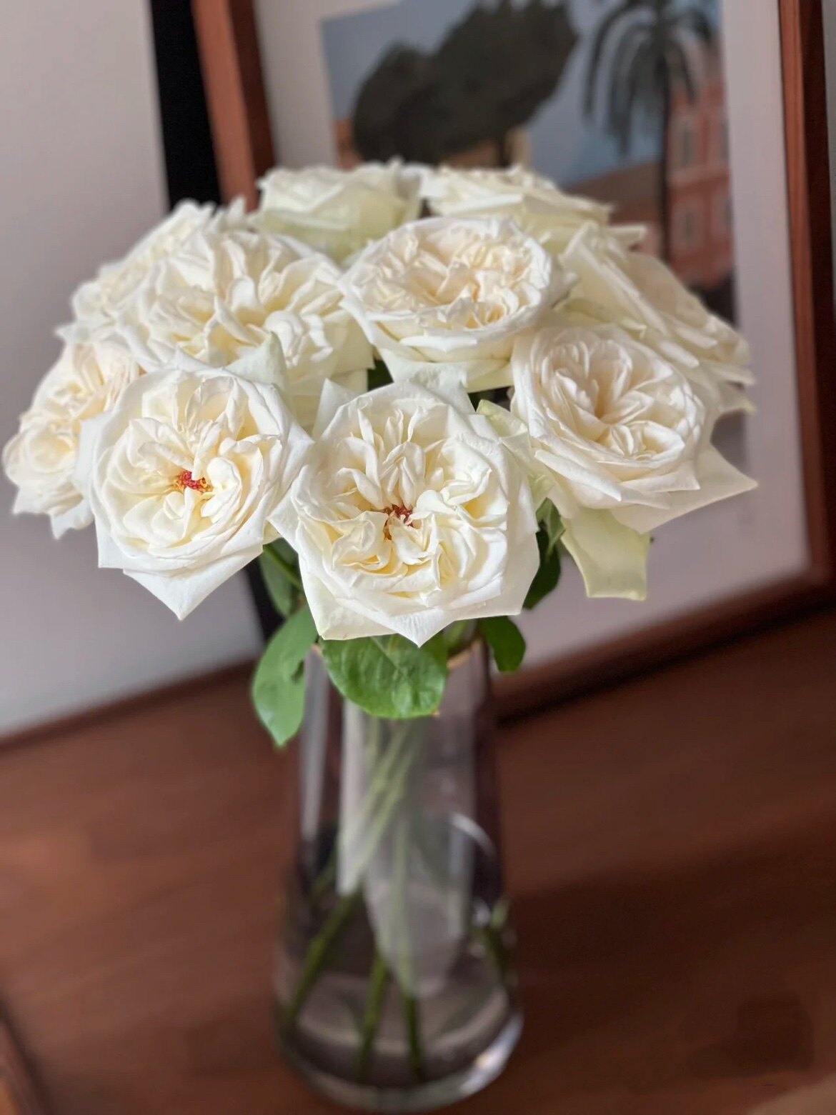 白荔枝玫瑰鲜花云南基地直发白月光玫瑰顺丰冷链包邮