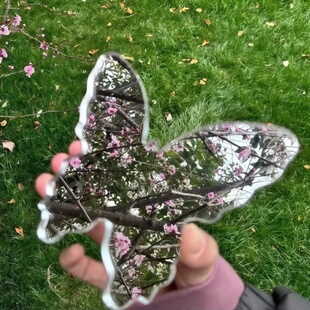 【捕捉春天】蝴蝶化妆镜月亮户外拍照镜子加厚创意摆拍神器极简风