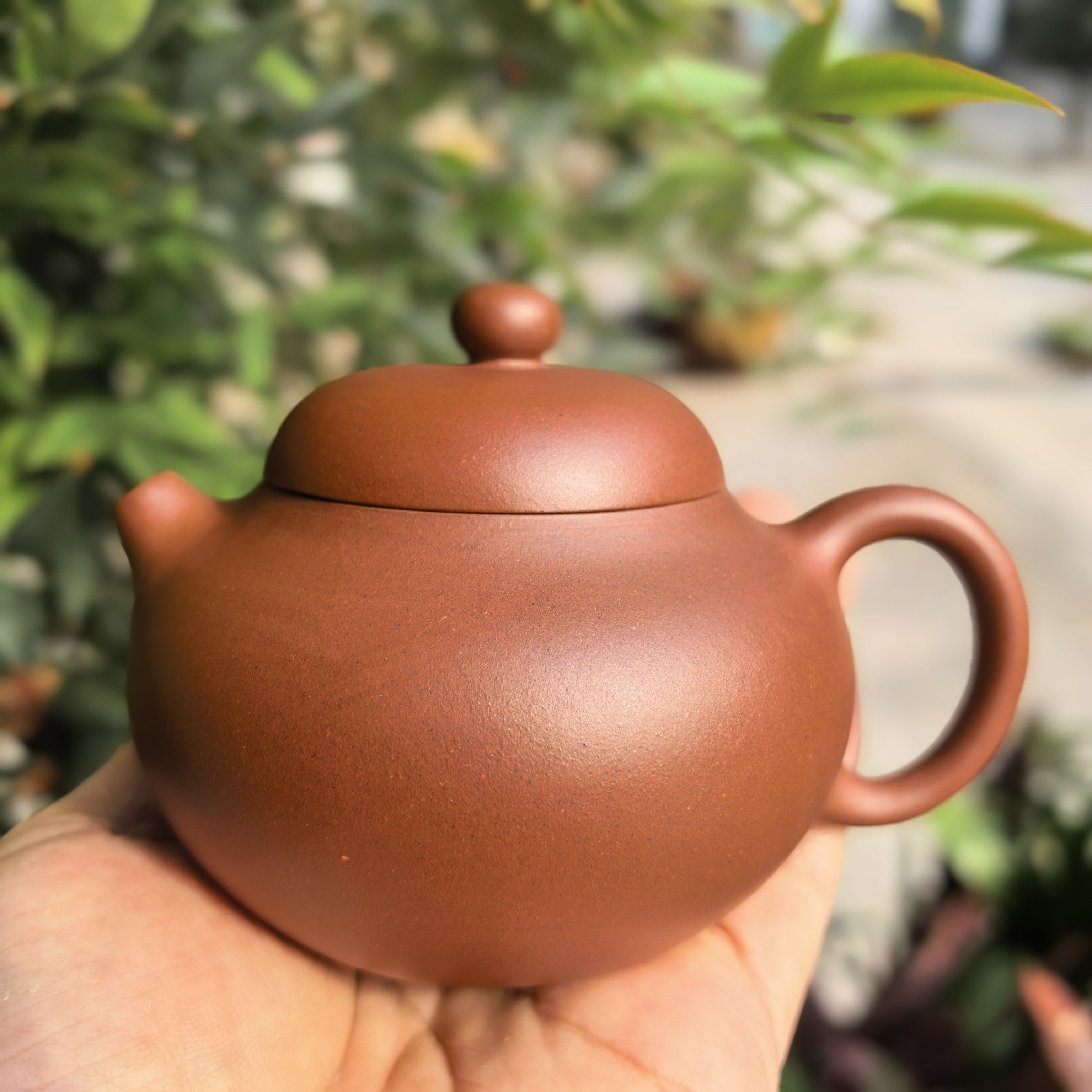 宜兴紫砂壶茶壶文旦壶180毫升