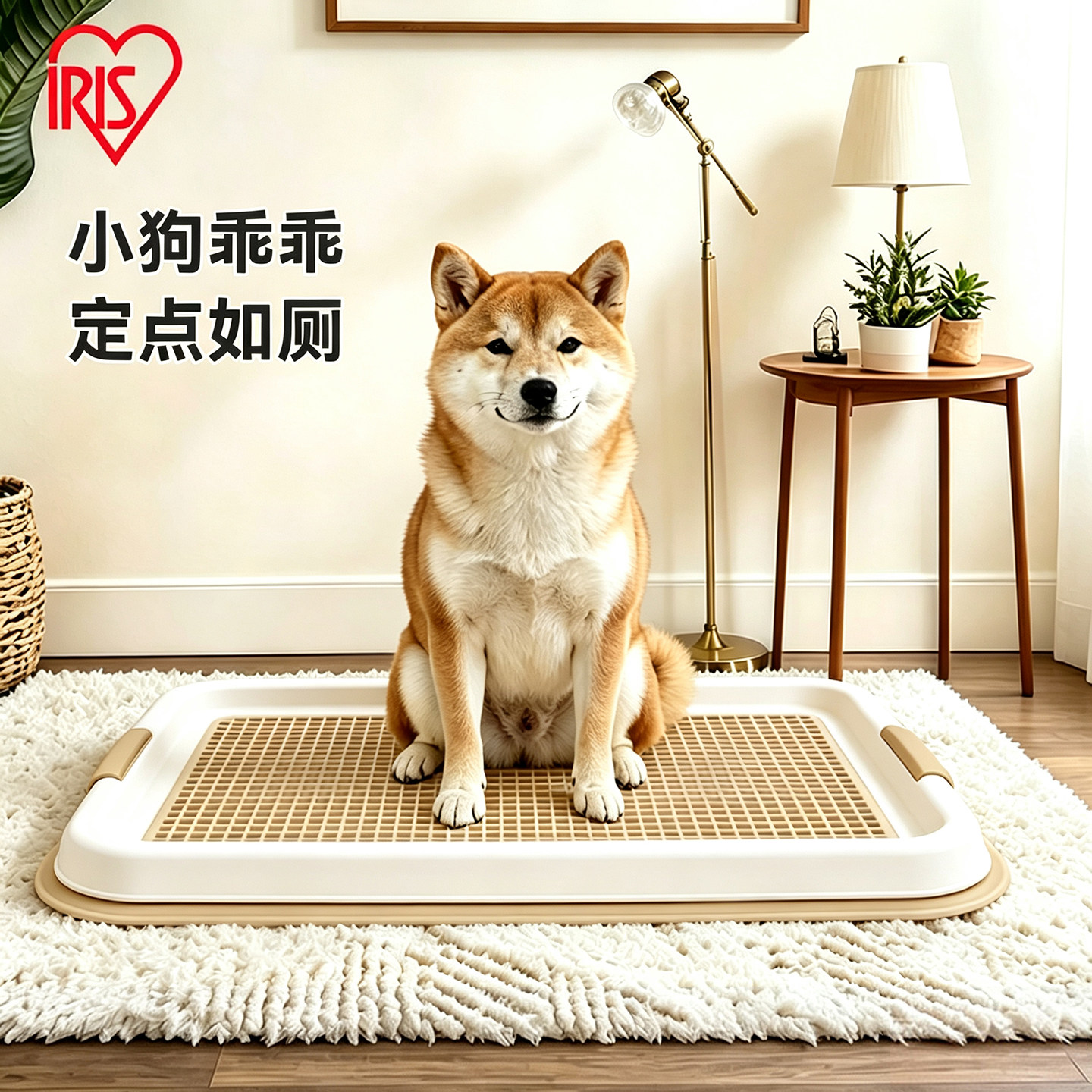 爱丽思狗狗厕所宠物定点尿盆中小型犬爱丽丝固定隔尿垫便盆套装