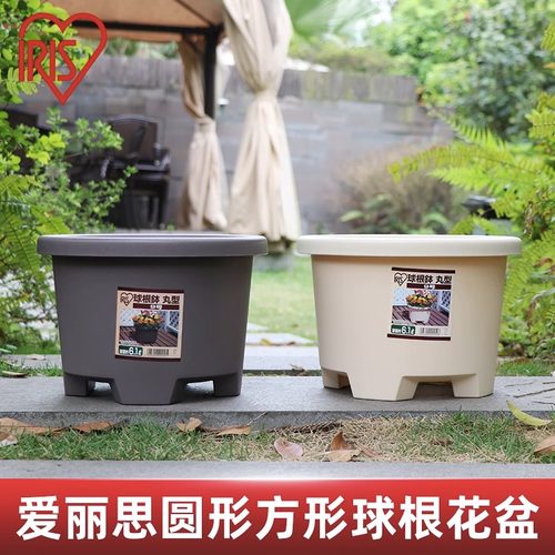 爱丽思圆形花卉盆栽植物花盆