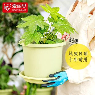 套装 绿萝盆托家用塑料树脂爱丽丝加仑花盆 爱丽思花盆Deepot月季
