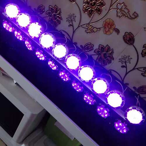 编号跑马花心 10个为一组48元 内控跑马 无需控制器 交流24伏电压