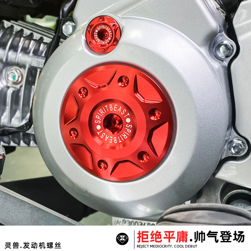 发动机螺丝适用幼兽改装摩托车