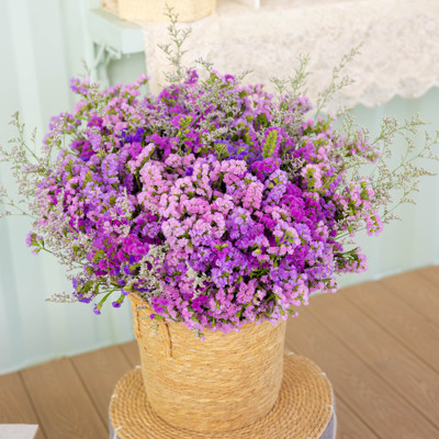 【买一斤送一斤】到手两束云南昆明基地直发干花永生花摆件鲜花