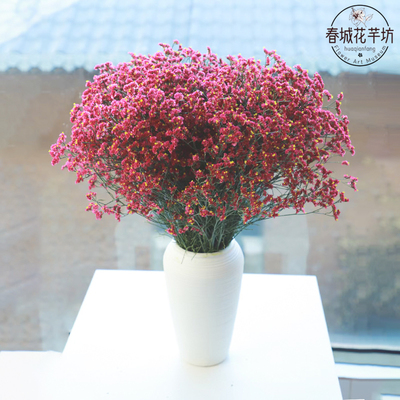 大束水晶满天星鲜花云南基地直发干花永生花摆件