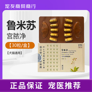 鲁米苏宫脓净宠物狗狗猫咪假孕回奶感染脓积液