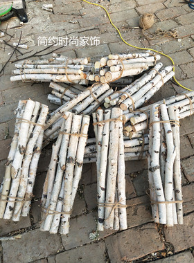 天然木棒装饰白桦树枝DIY树干