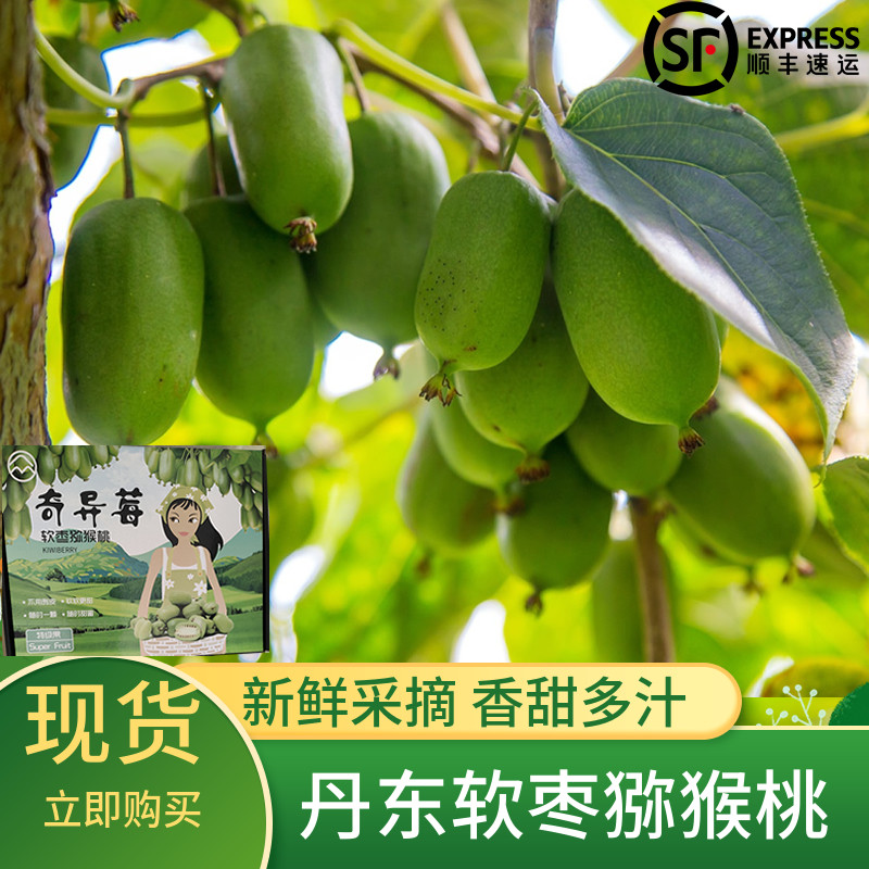 1����ʡ� ��15g���¡�����С����ͨװ ˳������⨺��ҵ�������Բ����