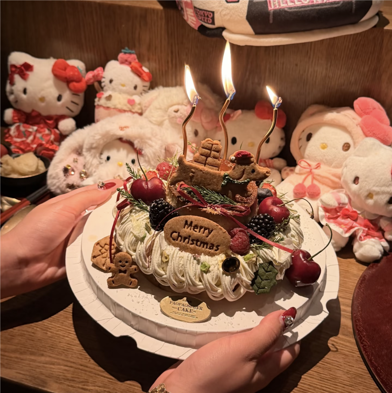 2025网红圣诞节腊肠小狗饼干模具蛋糕装饰圣诞快乐字母饼干插件