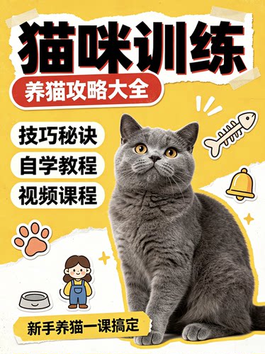 猫咪训练+养猫攻略大全技巧秘诀自学教视频程课程